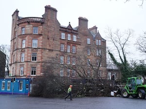 Fallen tree lying in a street, with a tenement building behind it