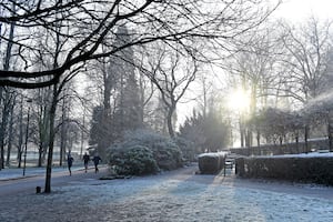 Frosty weather at Walsall Arboretum