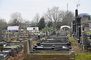 The human remains were discovered during the work of ecologists in the cemetery adjacent to the railway tracks