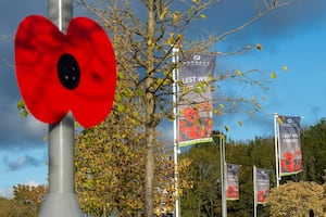 BG - SGB-6853 - A lamppost poppy at a Barratt Homes development