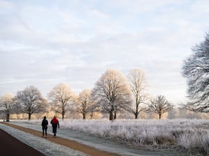 Two people walking in snowy park