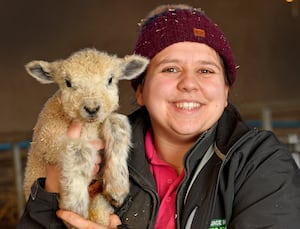 Farm manager Alex Dunn with one of the new lambs.