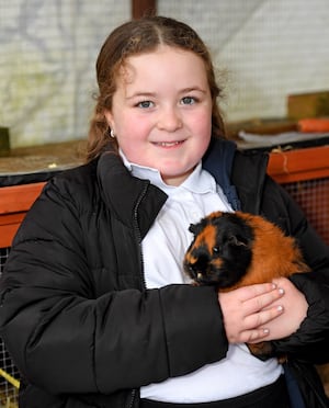 Elodie, aged 9, cuddling one of the school's guinea pigs 