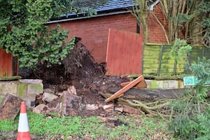 The fallen tree forced the A449 to close on Friday morning