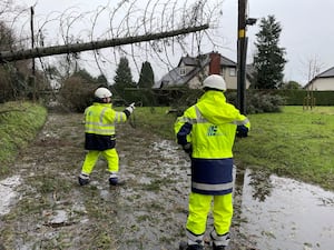 Electricity engineers inspect damage from fallen trees blocking Eglantine Road near Hillsborough