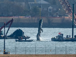 A piece of wreckage is lifted from the water