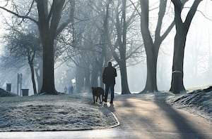 Frosty weather at Walsall Arboretum