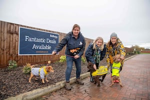 Lauren Brown and Nicola Adamson from the Max and George Trust with Bellway West Midlands Sales Manager Rachel Marner and some of the Max and George Trust dogs in need of homes.