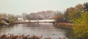 Milking Bank Park in the snow from Melvyn Cooper