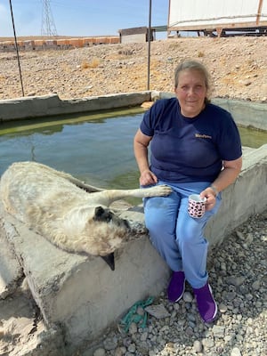 Louise with Ahmad in front of the dog swimming pool at the Iraq shelter