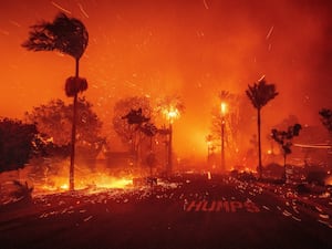 California Wildfires Defensible Space