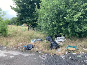 Green space off Proffitt Street 

Unruly Green spaces in Walsall 
Photos taken by Rachel Alexander 
Story: Council’s grass cutting strategy to undergo ‘big review’
Permission for use for LDR partners 