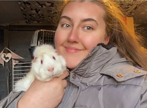 Hannah Carpenter has taken on 15 of the rabbits and said there were high costs involved in nursing them back to full health. Photo: Hannah Carpenter