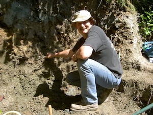 Tyrannosaur teeth discovered in Bexhill-on-Sea