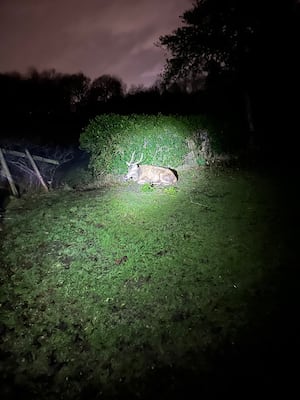 A member of the public alerted the RSPCA to the problem. Photo: RSPCA