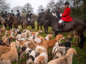 Riders and hounds gather for a Boxing Day meet in 2023