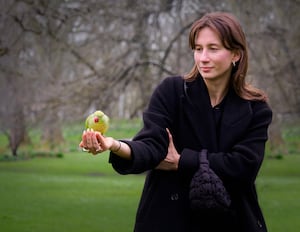 Feed the Birds by Mike Warrender 