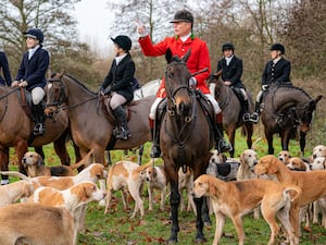 A hunt, with men on horseback surrounded by hounds