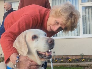 Elderly woman reunited with her labrador after it was stolen seven years ago