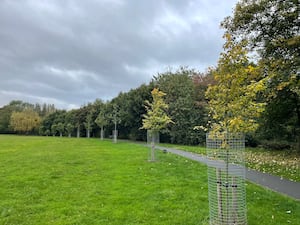 Story: Walsall woodland created to celebrate Queen’s Jubilee under threat
Photo taken by LDR Rachel Alexander October 2024 
Permission for use for LDR partners 
Reedswood Park, Walsall