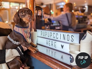 Puppuccino time