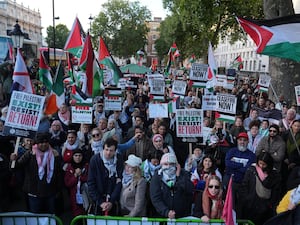 Pro-Palestine protesters holding banners and flags