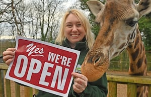 Dudley Zoo's Kira the giraffe with Laura Barker.