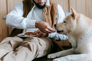 Some ingredients we use for pancakes can be dangerous to dogs.