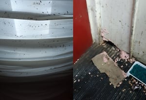 Rat droppings were found inside the premises. Photo: Walsall Council