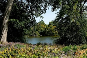 BM - 028 - Plenty of gorgeous views hidden away along many of the paths in the local Staffordshire area