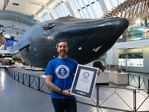 Ben Melham in front of a whale exhibit at a museum, holding his world record certificate