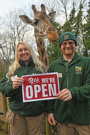 Laura Barker and Adam Davey have been working hard to get Kira and other animals at the zoo ready for the Twixmas period