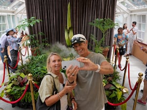 Karen and Wayne McKay photograph themselves with an endangered plant known as the 'corpse flower' for its putrid stink, at the Royal Botanic Garden in Sydney, Australia