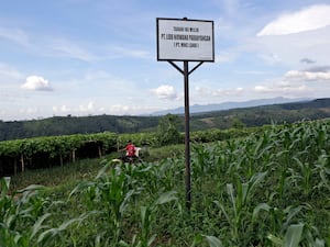 Land near Gunung Gede Pangrango National Park in Indonesia