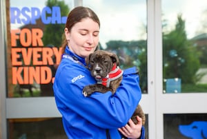 The charity is warning of an animal abandonment crisis with a concerning 51 per cent rise during winter months in just three years.