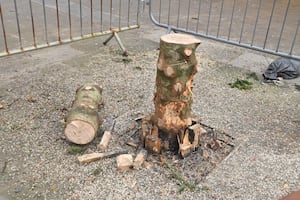 Dudley's Christmas tree has finally been chopped down after 82 days