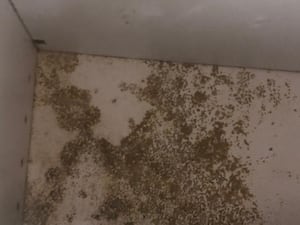 Mouldy kitchen units in a customer's home