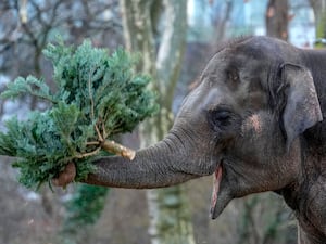 Germany Zoo