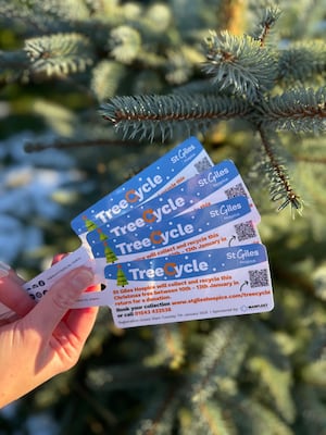 TreeCycle tree tags 