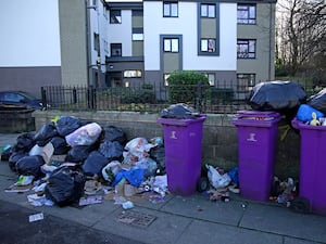 Household bins