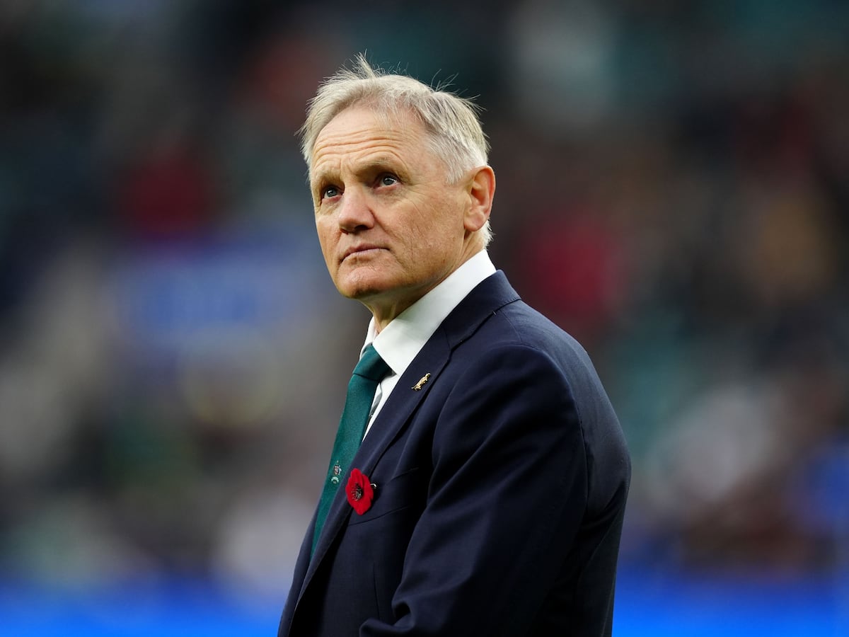 Joe Schmidt: Australia still have work to do ahead of next year’s Lions series