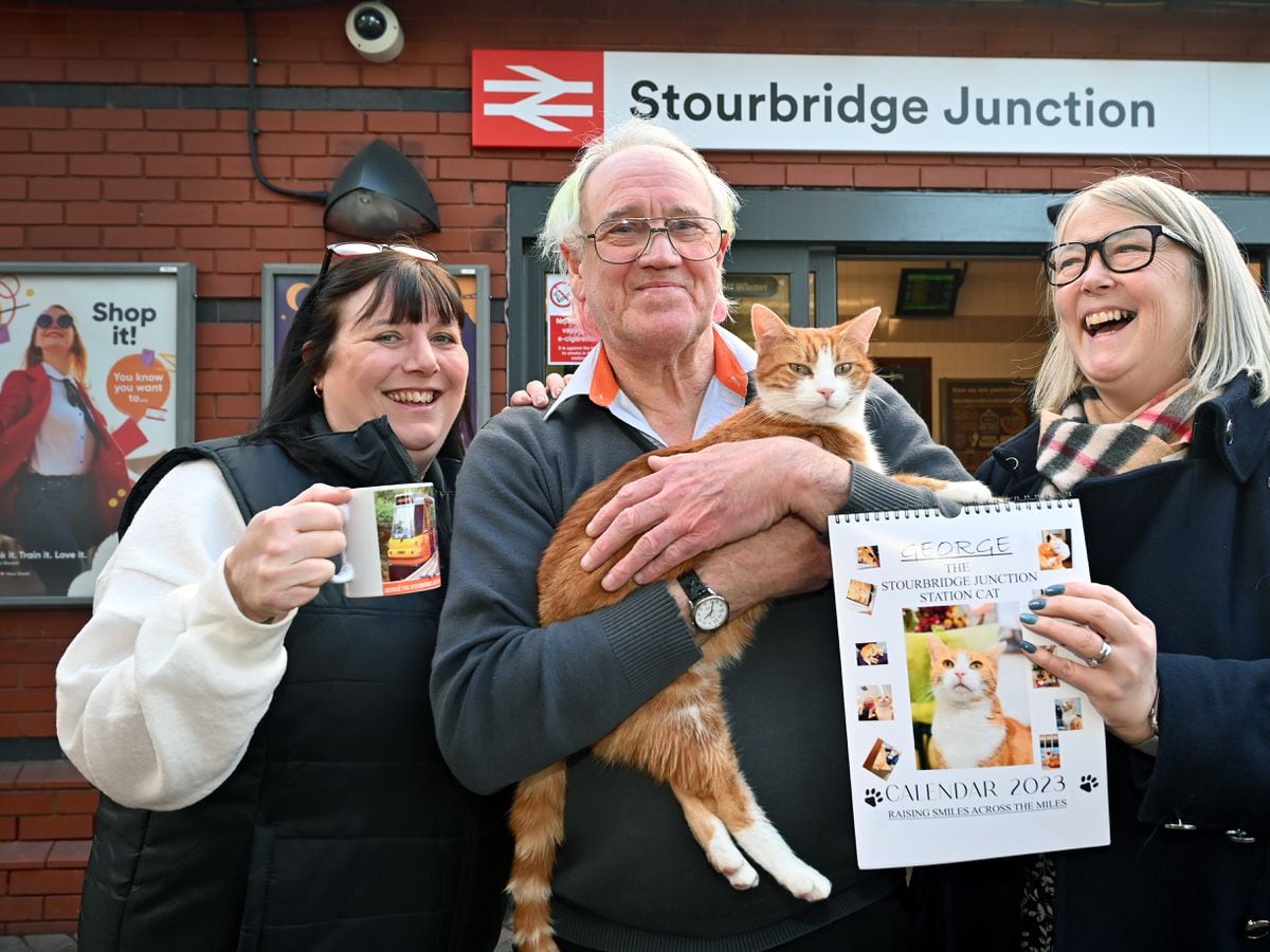 New range of George the Railway Cat coming down the line