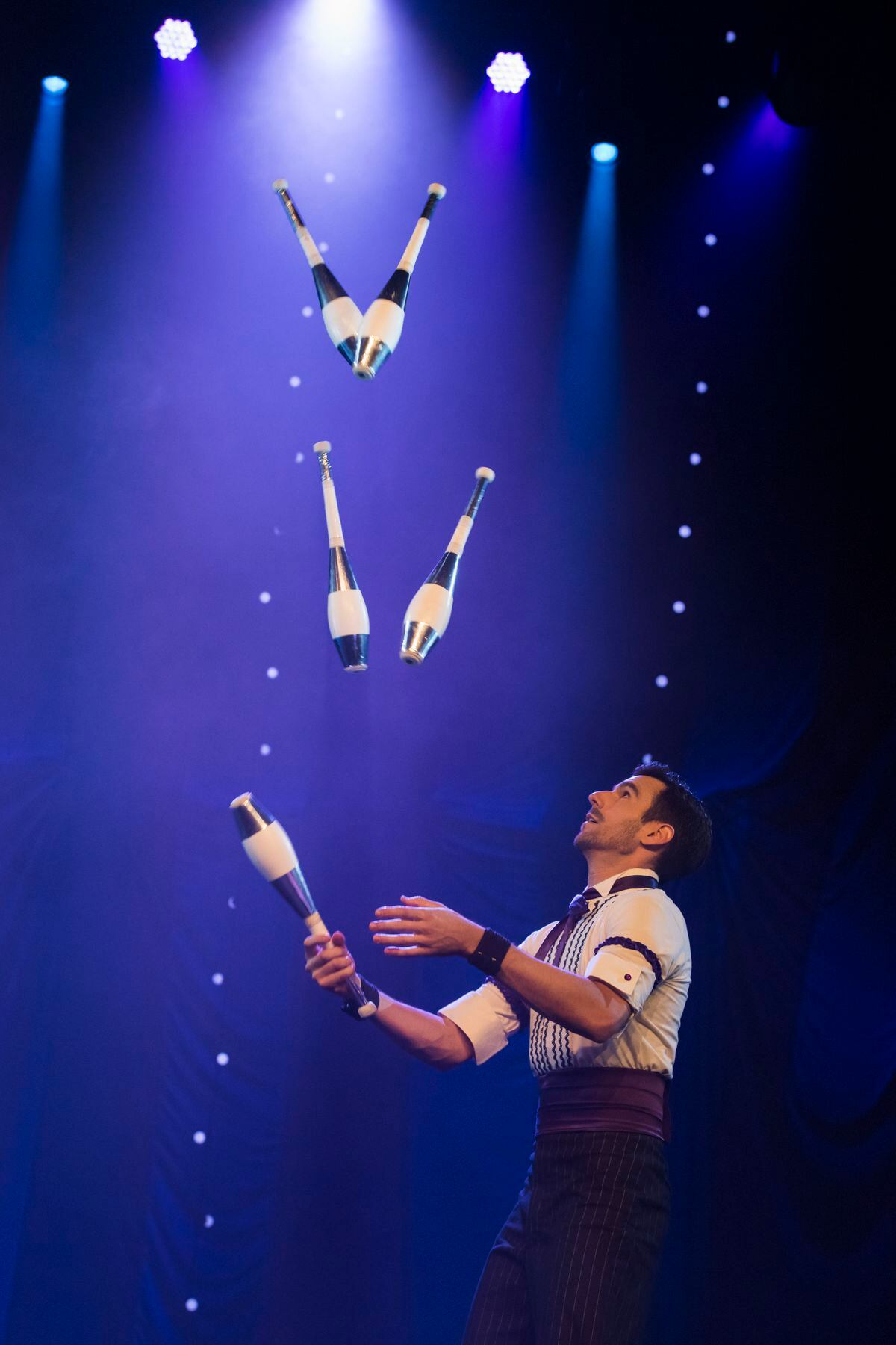 Elephant puppets, aerial artists, contortionists and more: Line up ...