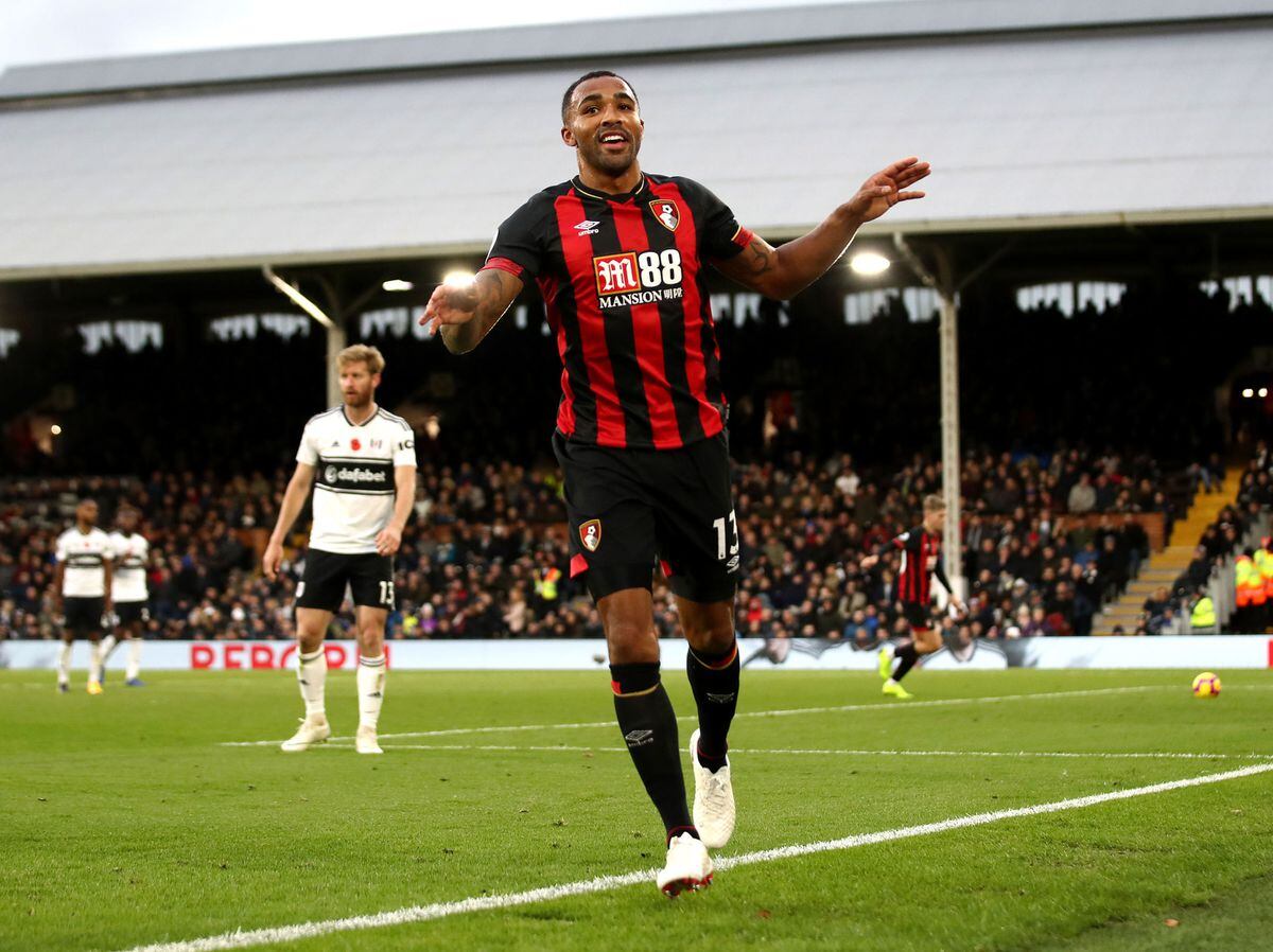 Wolves v Bournemouth: The low-down on the Cherries | Express & Star