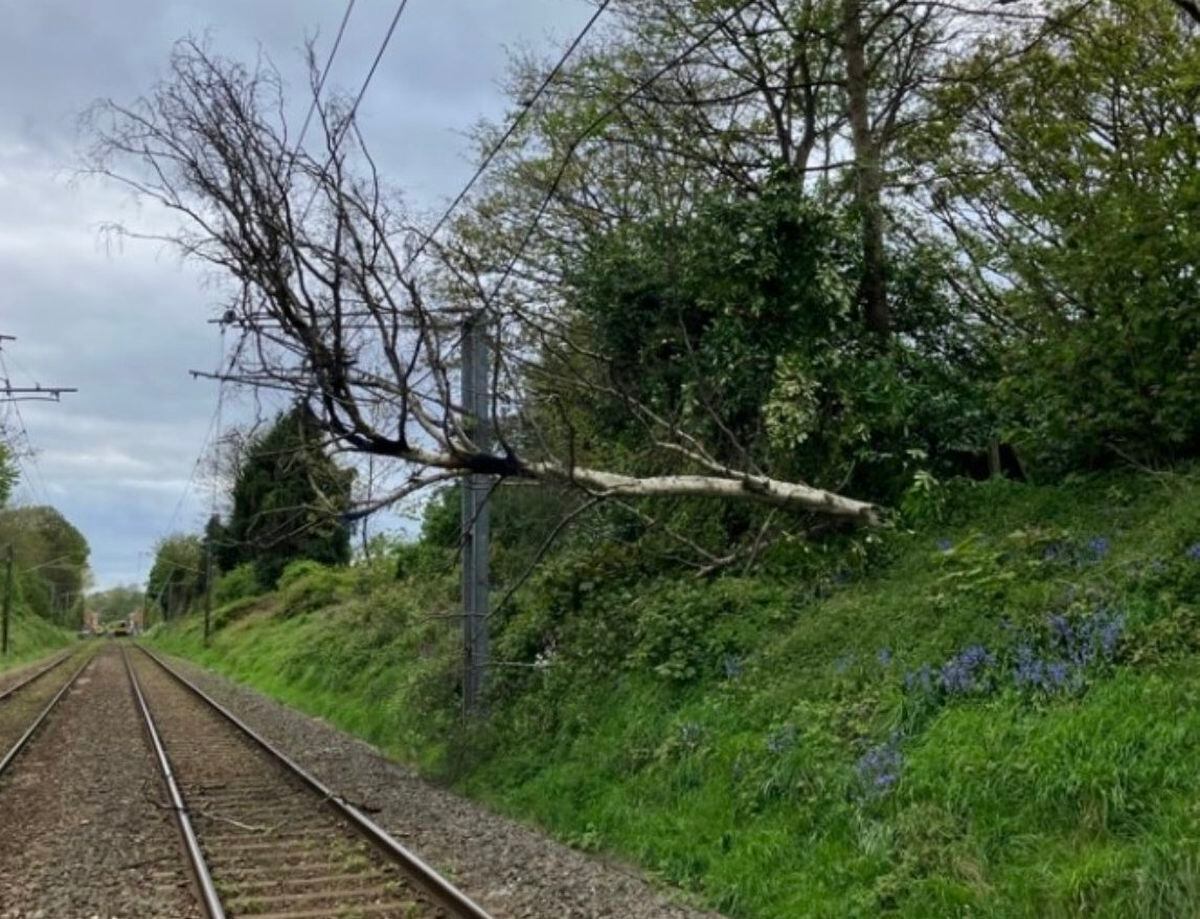 Disruption on busy railway until end of service expected after tree ...