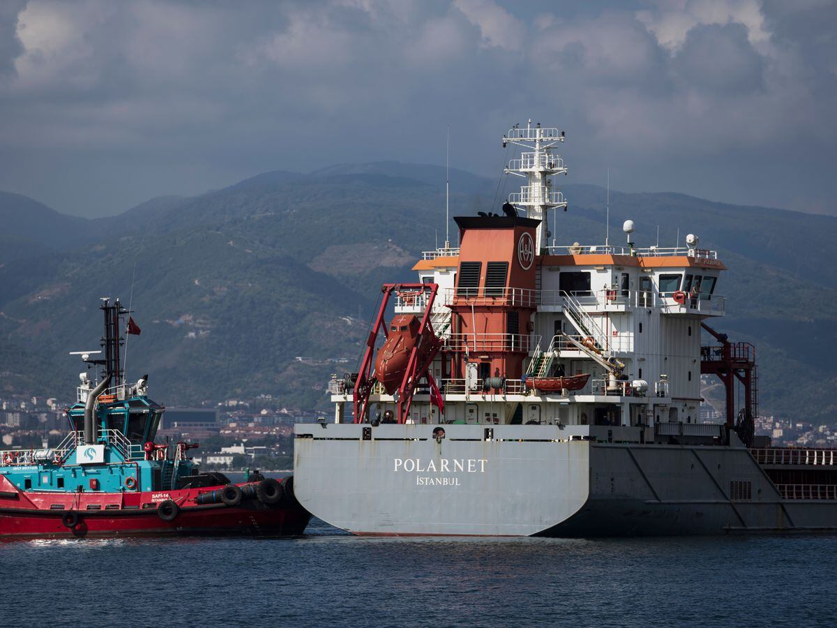 Ship Carrying Grain From Ukraine Arrives In Istanbul | Express & Star