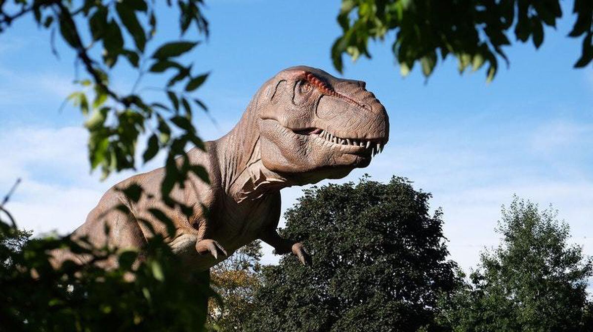 T. Rex Couldn't Stick Out Its Tongue, New Research Shows, Jackson School  of Geosciences