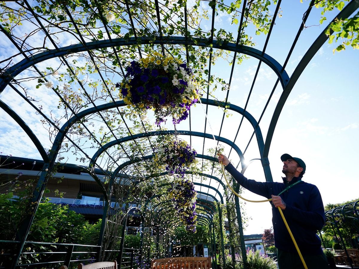 Wimbledon flower displays to be peat-free, head gardener vows